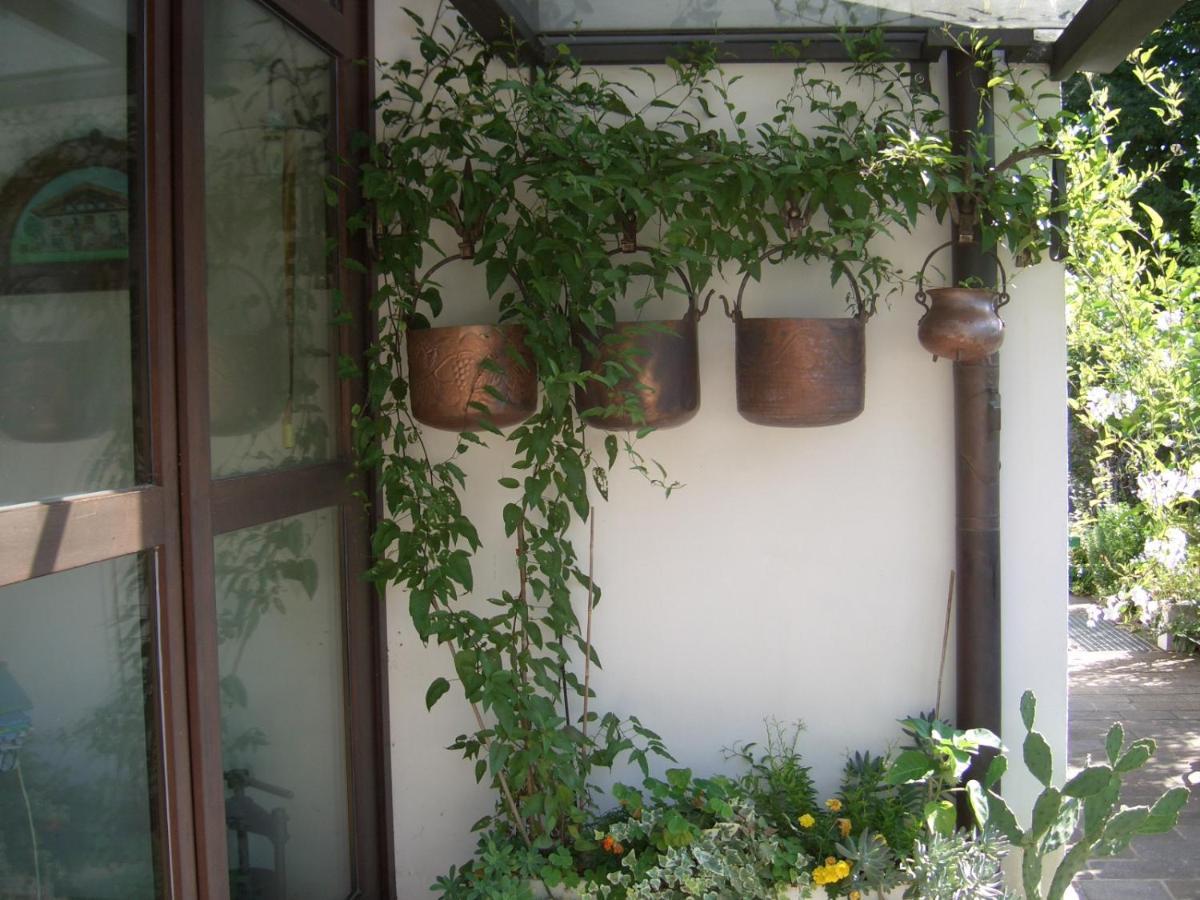 B&B Scaccia Pensieri Tarcento Ngoại thất bức ảnh